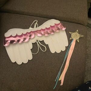 Angel/Fairy Wings and Wand